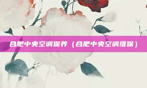 合肥中央空调保养（合肥中央空调维保）