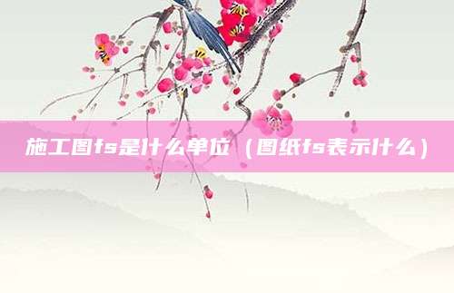 施工图fs是什么单位（图纸fs表示什么）