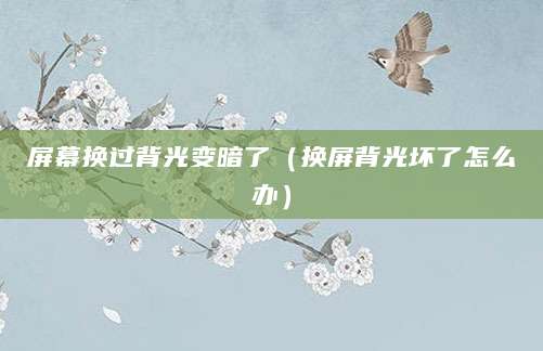 屏幕换过背光变暗了（换屏背光坏了怎么办）