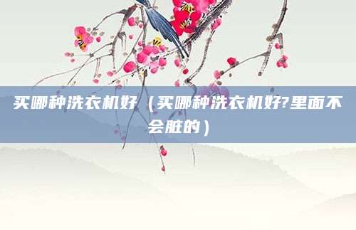 买哪种洗衣机好（买哪种洗衣机好?里面不会脏的）