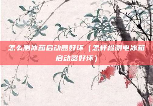 怎么测冰箱启动器好坏（怎样检测电冰箱启动器好坏）
