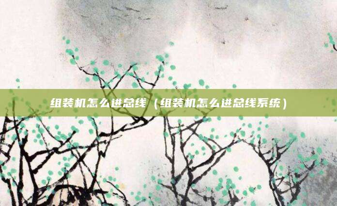 组装机怎么进总线（组装机怎么进总线系统）