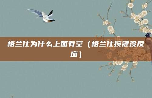 格兰仕为什么上面有空（格兰仕按键没反应）