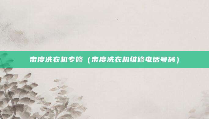 帝度洗衣机专修(帝度洗衣机维修电话号码)