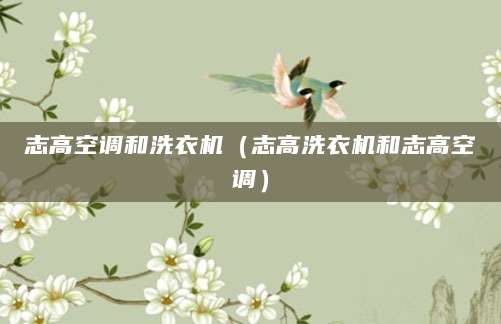 志高空调和洗衣机（志高洗衣机和志高空调）
