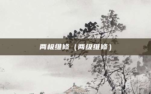 两极维修(两级维修)