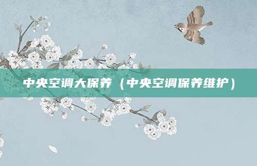 中央空调大保养（中央空调保养维护）