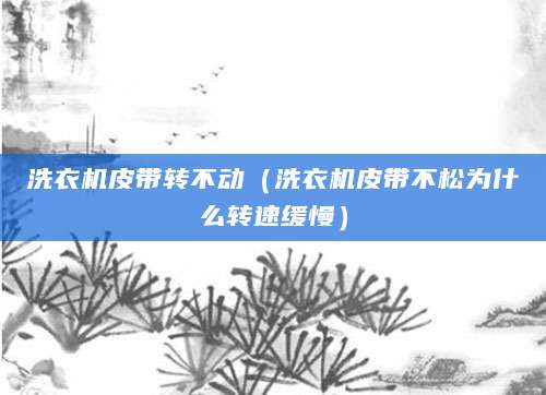 洗衣机皮带转不动(洗衣机皮带不松为什么转速缓慢)