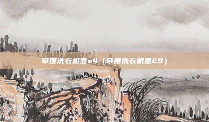 帝度洗衣机显e4（帝度洗衣机显E9）