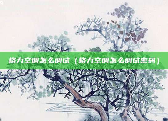 格力空调怎么调试（格力空调怎么调试密码）
