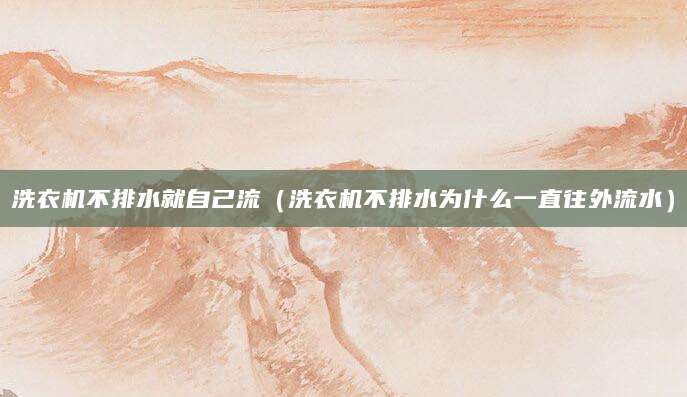 洗衣机不排水就自己流（洗衣机不排水为什么一直往外流水）