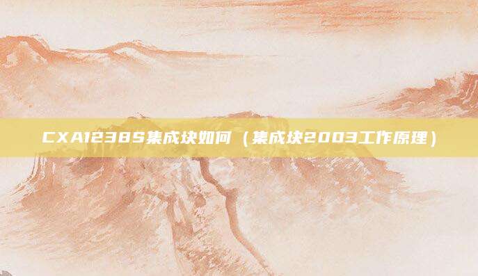 CXA1238S集成块如何（集成块2003工作原理）