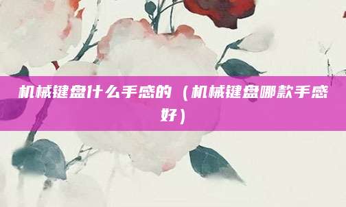 机械键盘什么手感的(机械键盘哪款手感好)