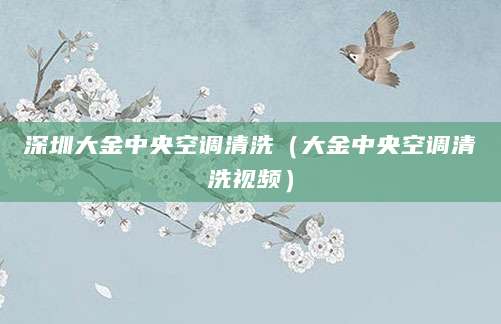 深圳大金中央空调清洗（大金中央空调清洗视频）