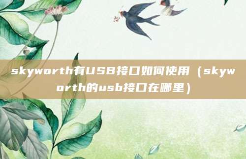 skyworth有USB接口如何使用（skyworth的usb接口在哪里）