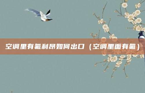 空调里有氟利昂如何出口（空调里面有氟）