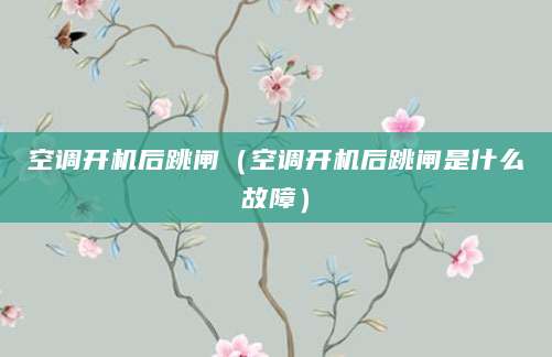 空调开机后跳闸（空调开机后跳闸是什么故障）