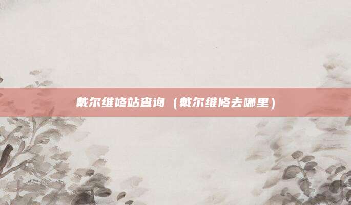 戴尔维修站查询（戴尔维修去哪里）