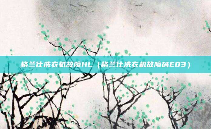 格兰仕洗衣机故障HL（格兰仕洗衣机故障码E03）