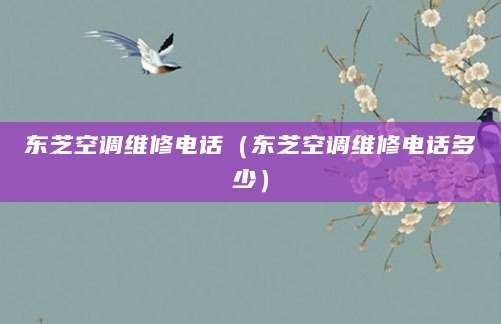 东芝空调维修电话（东芝空调维修电话多少）