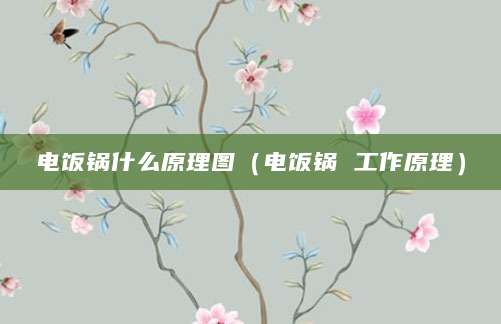 电饭锅什么原理图（电饭锅 工作原理）