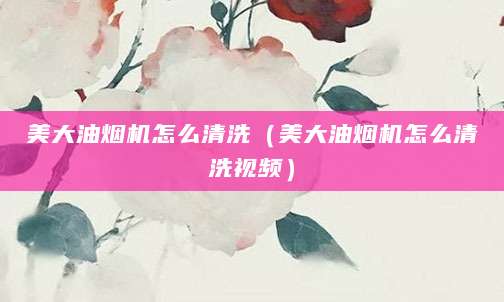 美大油烟机怎么清洗（美大油烟机怎么清洗视频）