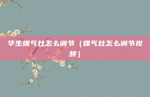 华生煤气灶怎么调节（煤气灶怎么调节视频）