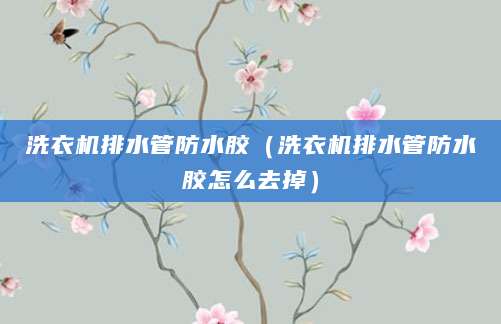 洗衣机排水管防水胶（洗衣机排水管防水胶怎么去掉）