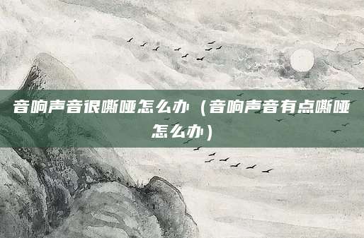 音响声音很嘶哑怎么办（音响声音有点嘶哑怎么办）
