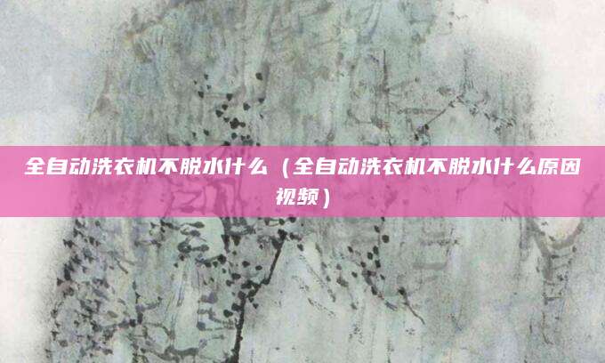 全自动洗衣机不脱水什么（全自动洗衣机不脱水什么原因视频）