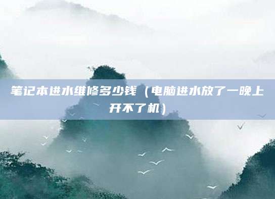 笔记本进水维修多少钱（电脑进水放了一晚上开不了机）