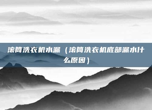 滚筒洗衣机水漏（滚筒洗衣机底部漏水什么原因）