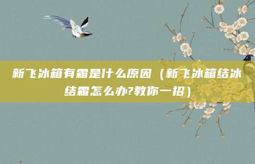 新飞冰箱有霜是什么原因（新飞冰箱结冰结霜怎么办?教你一招）