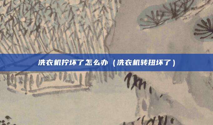 洗衣机拧坏了怎么办（洗衣机转扭坏了）