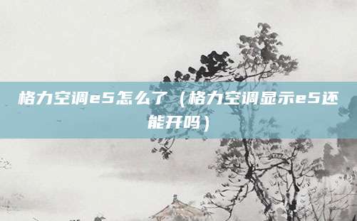 格力空调e5怎么了（格力空调显示e5还能开吗）