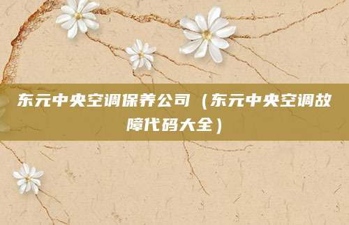 东元中央空调保养公司（东元中央空调故障代码大全）