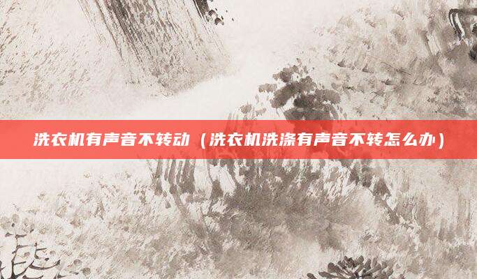 洗衣机有声音不转动（洗衣机洗涤有声音不转怎么办）