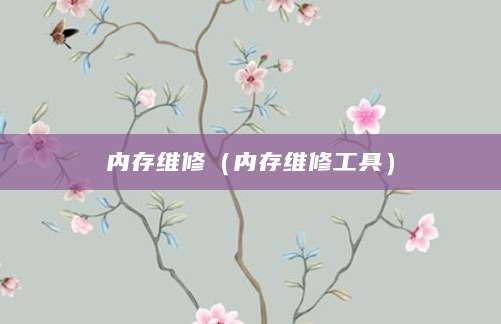 内存维修（内存维修工具）
