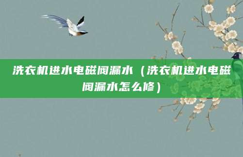 洗衣机进水电磁阀漏水（洗衣机进水电磁阀漏水怎么修）
