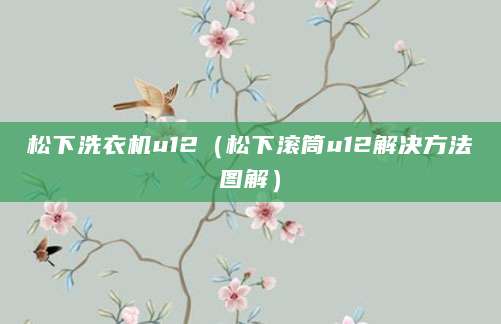 松下洗衣机u12（松下滚筒u12解决方法图解）