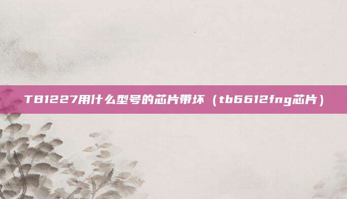 TB1227用什么型号的芯片带坏（tb6612fng芯片）