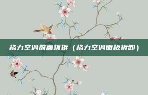 格力空调前面板拆（格力空调面板拆卸）