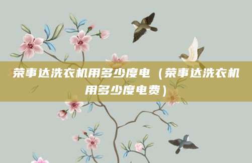 荣事达洗衣机用多少度电（荣事达洗衣机用多少度电费）