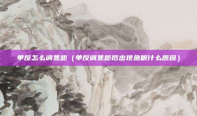 单反怎么调焦距（单反调焦距后出现鱼眼什么原因）