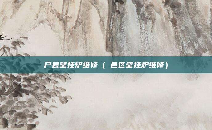 户县壁挂炉维修（鄠邑区壁挂炉维修）