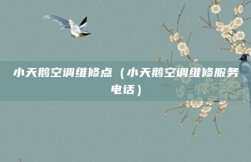 小天鹅空调维修点（小天鹅空调维修服务电话）