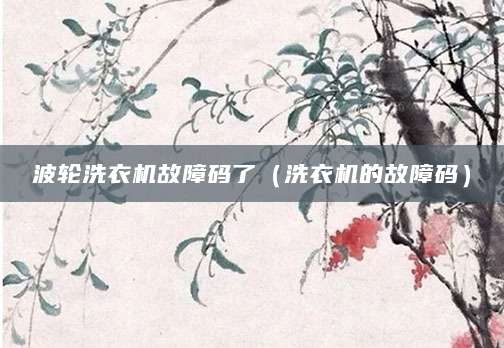 波轮洗衣机故障码了（洗衣机的故障码）