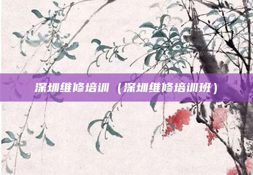 深圳维修培训（深圳维修培训班）
