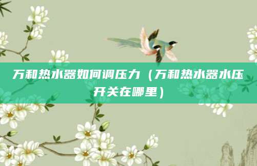 万和热水器如何调压力（万和热水器水压开关在哪里）
