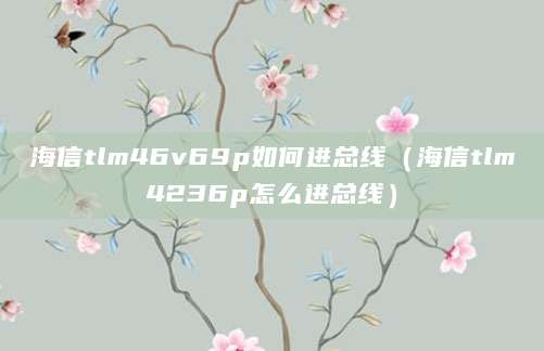 海信tlm46v69p如何进总线（海信tlm4236p怎么进总线）